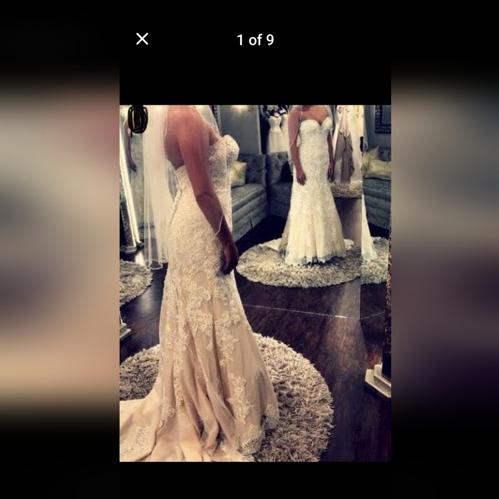 Elegant Ivory Lace Wedding Dress - Picture 12 of 12